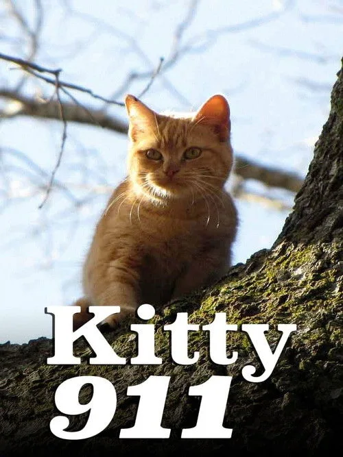 Kitty 911 (2016) poster