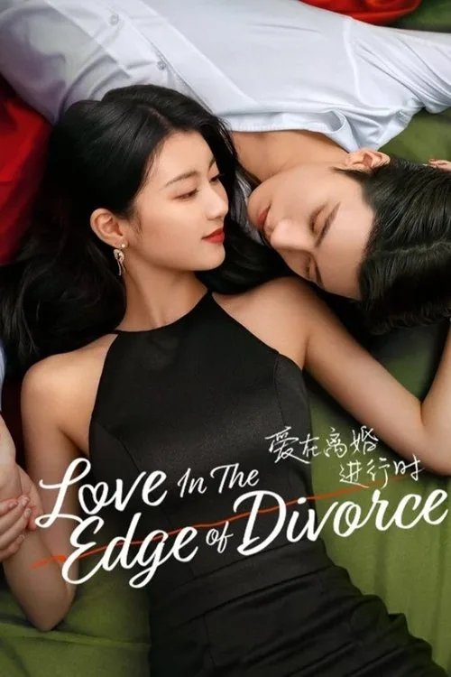 Love in the Edge of Divorce (2025) poster