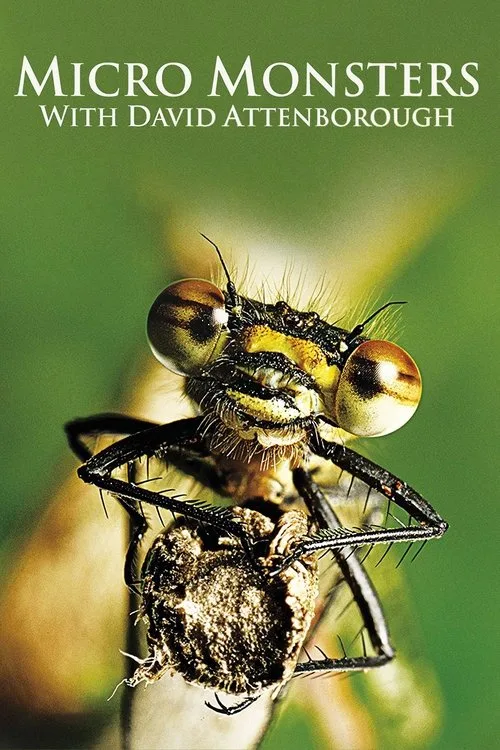 Micro Monsters 3D with David Attenborough (2013) poster