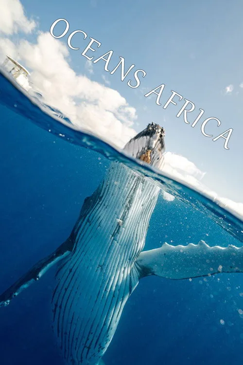 Oceans Africa (2025) poster