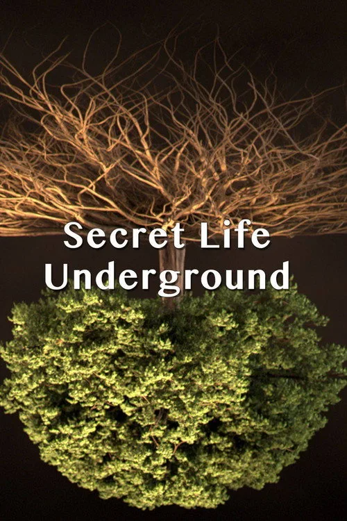 Secret Life Underground (2015) poster