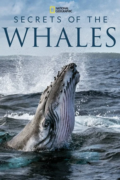 Watch Secrets of the Whales (2021) online free - poster