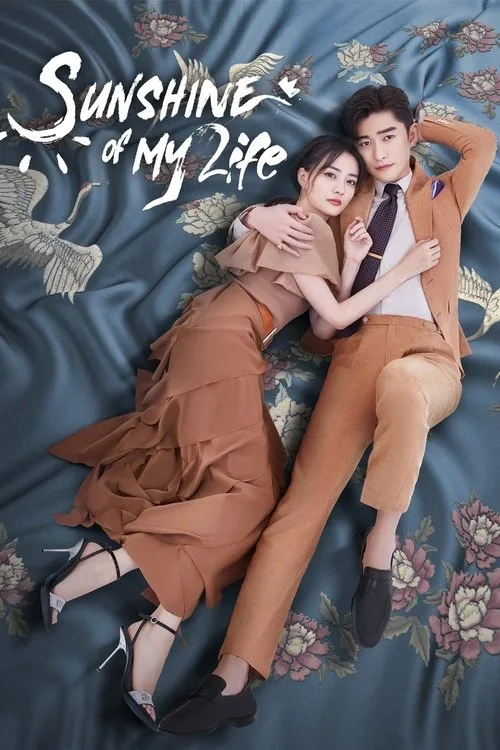 Sunshine of My Life (2021) poster