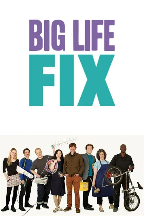 The Big Life Fix (2016) poster