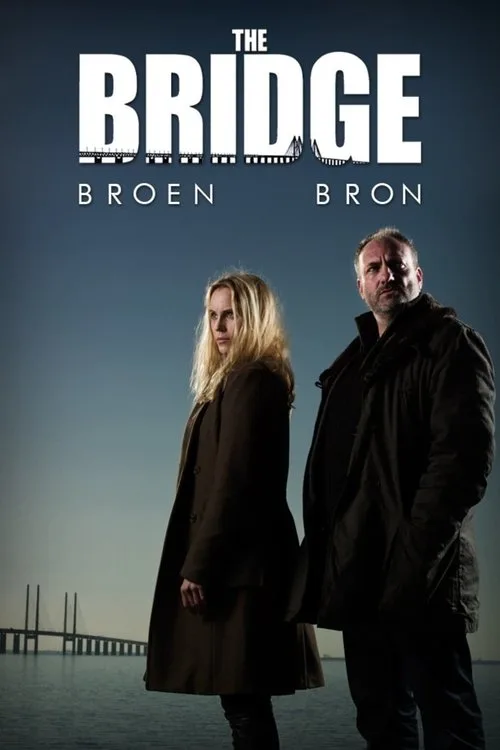 The Bridge (2011) poster