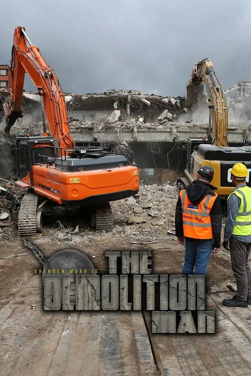 The Demolition Man (2016) poster