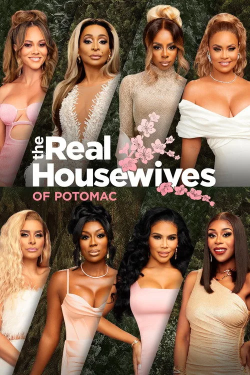 The Real Housewives of Potomac (2016) poster