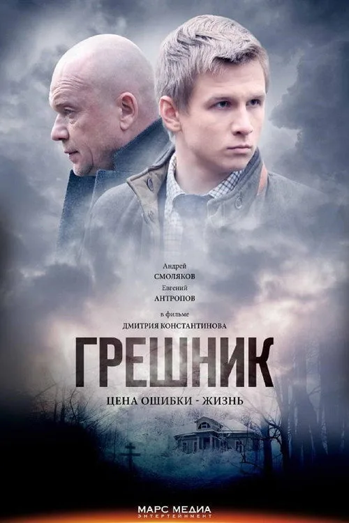 The Sinner (2014) poster